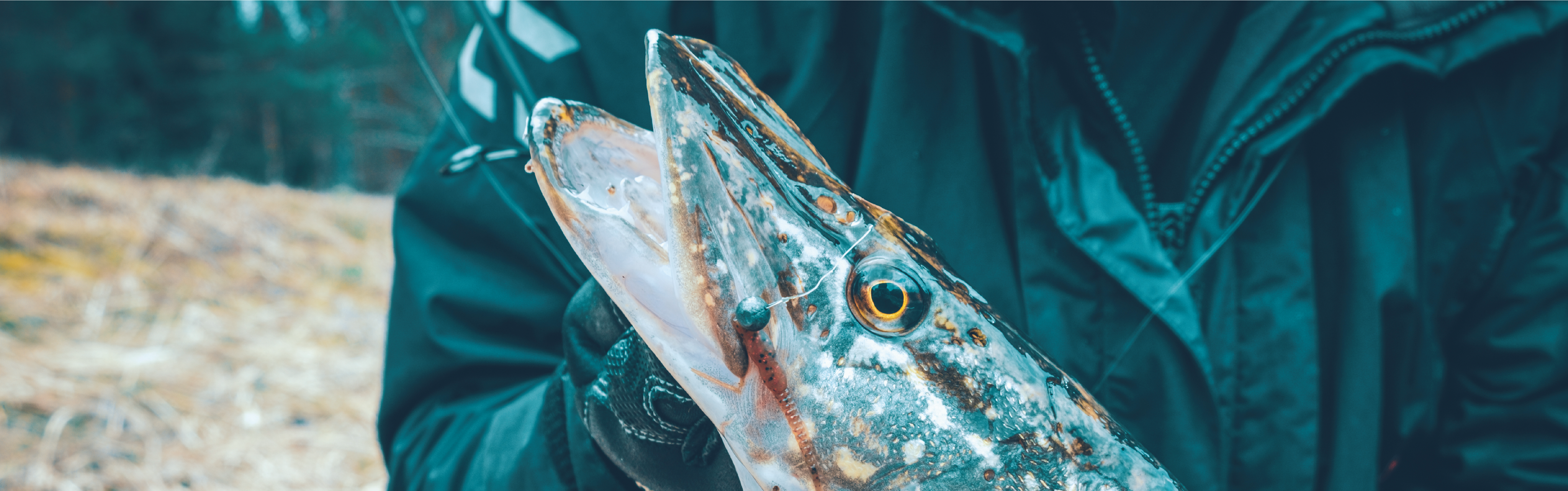 Chris standing up holding his daughter Elva